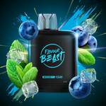 LEVEL X - FLAVOUR BEAST - BOOST G2 - BLESSED BLUEBERRY MINT ICED
