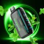 OXBAR ROCKY VAPOR G42K - DISPOSABLE - MINT G
